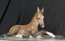 Beautiful rosenthal foal for sale  COLCHESTER