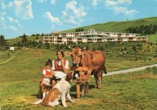 Cartolina italia bolzano usato  Benevento