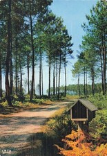 Landes niche pain d'occasion  France