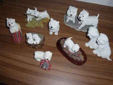 West highland terrier for sale  NORWICH