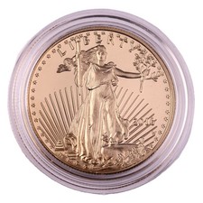 Usa 2016 eagle gebraucht kaufen  Borgholzhausen