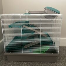 Rosewood pico hamster for sale Rosewood pico hamster for sale  MANCHESTER