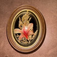Vintage orchid flora for sale  Blair