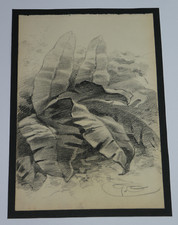 Dessin original crayon d'occasion Dessin original crayon d'occasion  Fondettes