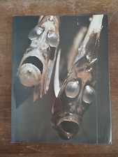 Fascicolo grande enciclopedia usato  Martinsicuro