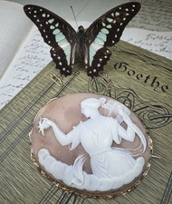 Psyche schmetterling gemme gebraucht kaufen  Kassel