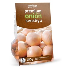 Senshyu winter onion for sale  ANNAN