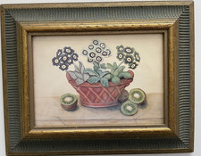 Kiwi auriculas framed for sale  WALLSEND