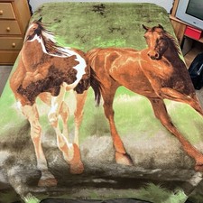 Walking horses king for sale  Moorhead