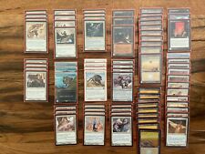 Mtg premodern white usato  Roma