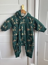 Little green radicals for sale  UK