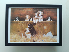 David shepherd print for sale  YORK