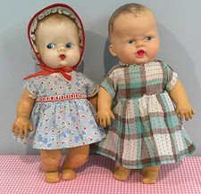 Two adorable little for sale  Hudsonville