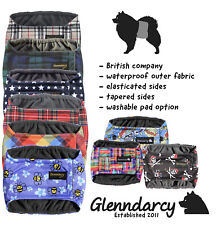 Glenndarcy male dog for sale  PATHHEAD