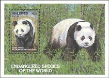 Maldive 1993 panda usato  Italia