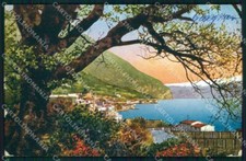 Brescia gargnano lago usato  Gambolo