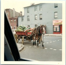 1960s horse cart for sale  Buena Park