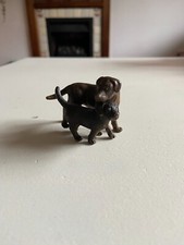 Schelich brown labrador for sale  WINCHESTER