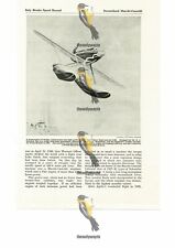 Vicker supermarine .6b for sale  BOURNEMOUTH