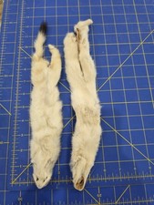 Lot white ermine for sale  Hill City