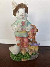 Male bunny rabbit for sale  Grapevine