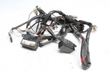 Wiring harness main d'occasion  Expédié en Belgium
