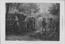 1875 fine art for sale  ASHFORD