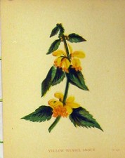 Original old antique for sale  UK