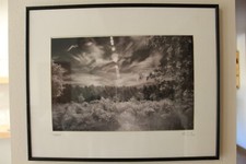 Vintage black white for sale  Battle Creek