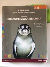 Campbell nuovo immagini usato  Fiesole