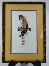 Original butterfly wing for sale  Canton