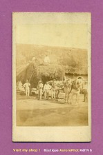 Cdv scène rurale d'occasion  Chaumont