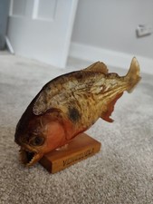Taxidermy fish piranha for sale  BOSTON