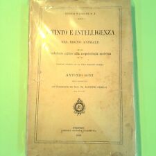Istinto intelligenza nel usato  Comiso