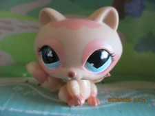 Petshop raccoon 669 d'occasion  Expédié en Belgium