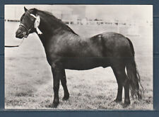 Cpsm 1960 faune d'occasion  Bourg-en-Bresse