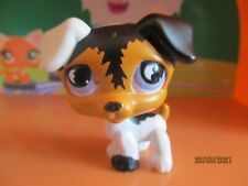 Petshop chien jack d'occasion  Expédié en Belgium