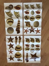 Roommates wandsticker muscheln gebraucht kaufen  Mannheim