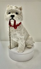 West highland white for sale  BROUGH