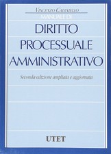 Manuale diritto processuale usato  Italia