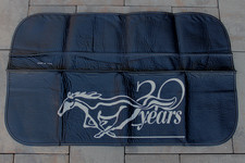 Ford mustang year for sale  Fairfield