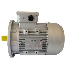 Motore grey elettrico usato  Alba
