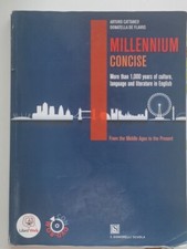 Millennium concise. per usato  Bergamo
