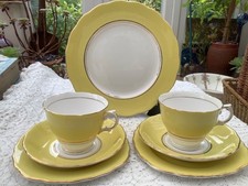 Colough lemon harlequin for sale  NORTHAMPTON