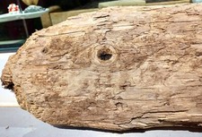 Augen schuppen treibholz gebraucht kaufen  Freilassing