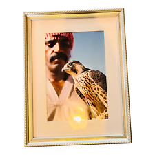 Falconry bird large for sale  GLENROTHES