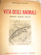Romualdo natoli vita usato  Catania