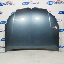 Cofano anteriore grigio usato  Acerra