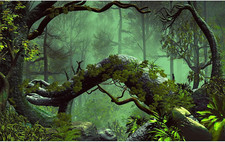Foggy forest aquarium for sale  Denver