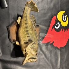Vintage largemouth bass for sale  Burlington